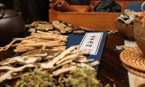 中草本植物沙蒿子-中药沙蒿子作用网 - 为你提供中药沙蒿子作用与功效、沙蒿子又叫什么